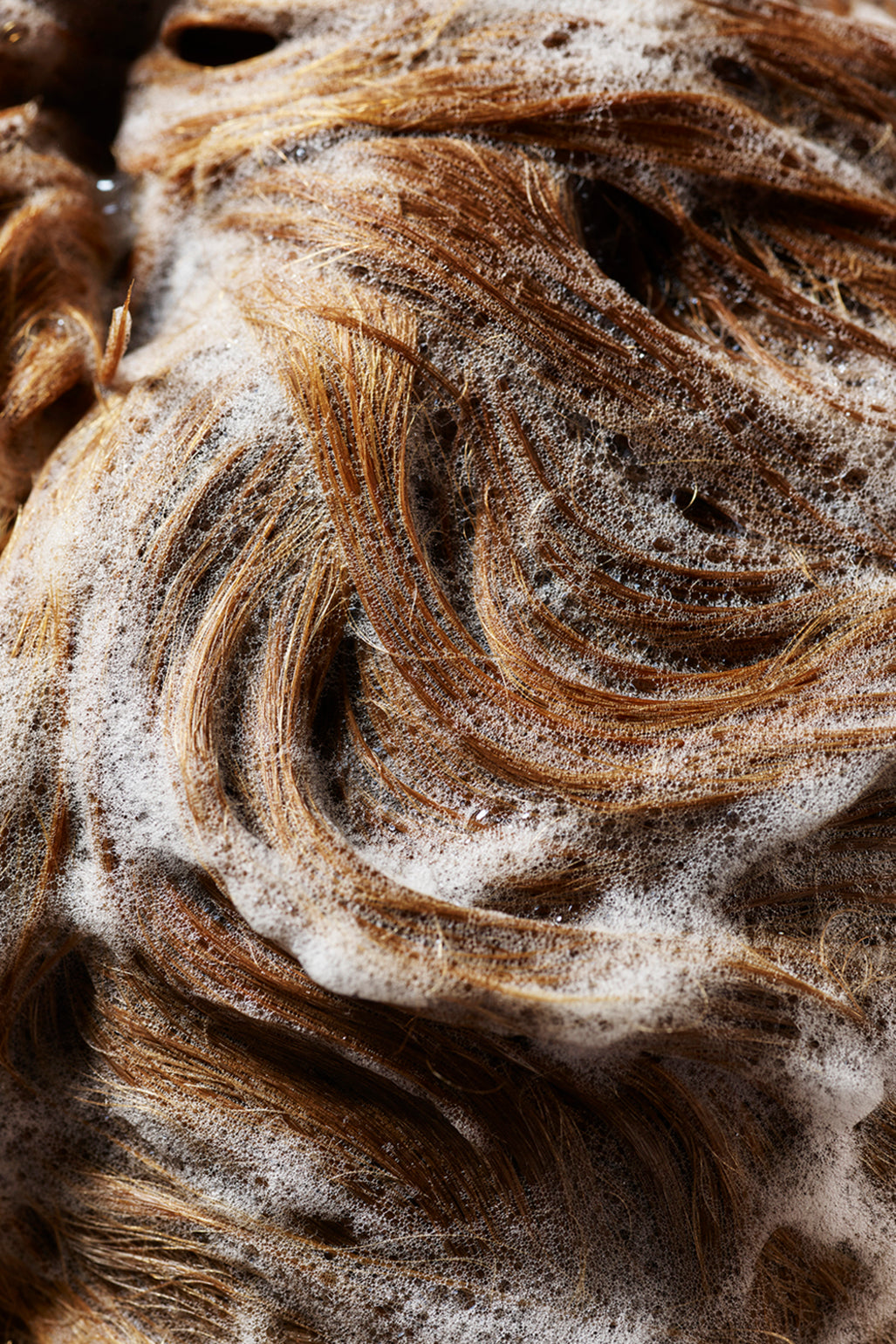 Shampoo for Beautiful Color - Brush Salon
