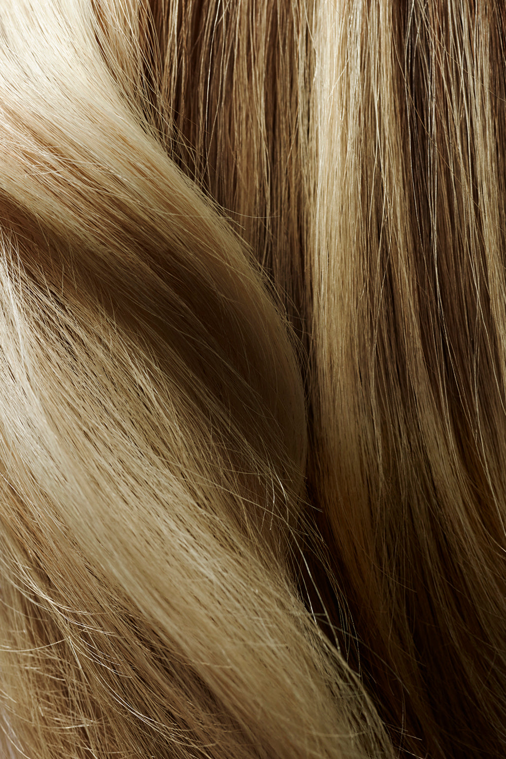 Maximista Thickening Spray - Brush Salon