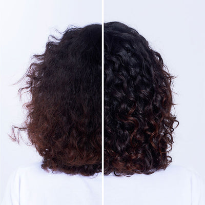 Urban Moisture Hydro-Nourishing Shampoo