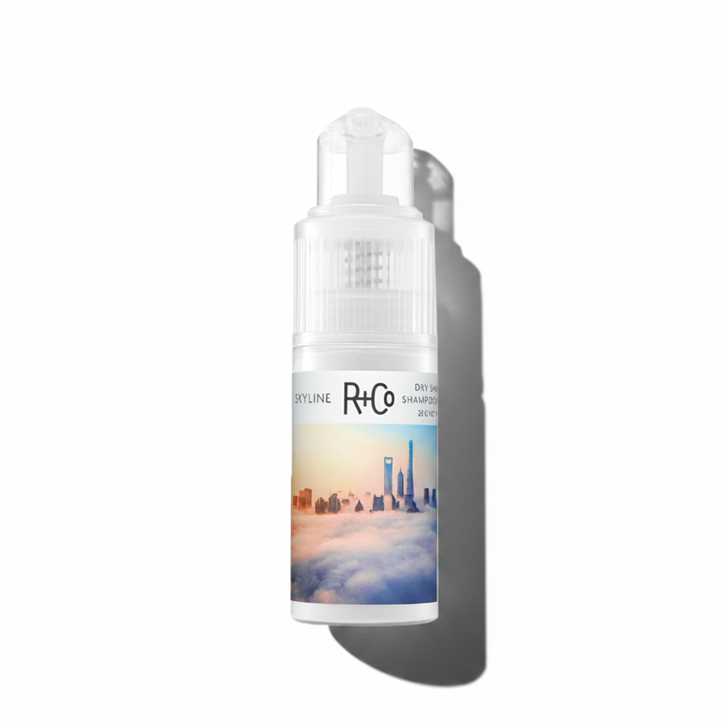 Poudre de shampooing sec Skyline 