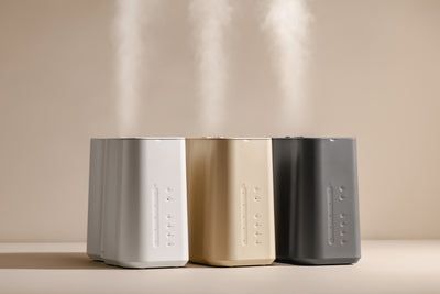 Humidificateur à brume froide Cloud